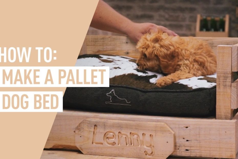 How To Make A Diy Pallet Dog Bed // Ozito - Youtube